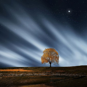 小坏蛋怎么做爱的
