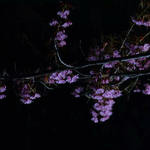 小坏蛋怎么做爱的
